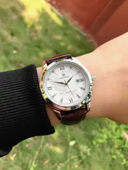 PABLO RAEZ/ модни ежедневни мъжки ръчен часовник, бизнес 40 мм водоустойчив мъжки часовници, луксозни подаръчни часовник с дата, автоматичен Календар, приятен кафяв цвят